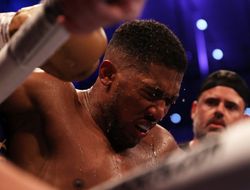 фото - Весь лагерь Джошуа не сходился во взглядах с новым тренером — эксперт