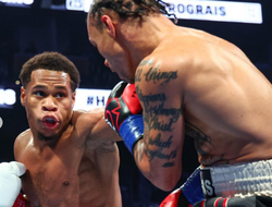 фото - Хэйни после Прогрейса и Прогрейс после Хэйни: все наиболее вероятные соперники