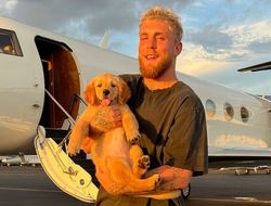 фото - Топ-10 боксёров планеты – рейтинг от звезды YouTube