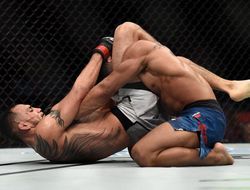 фото - UFC 216: Тони Фергюсон победил Кевина Ли