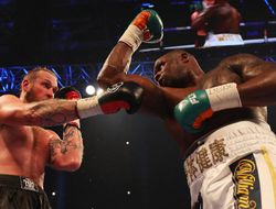 фото - Херн снова предложил Уайлдеру бой с Уайтом — озвучил дату и место проведения