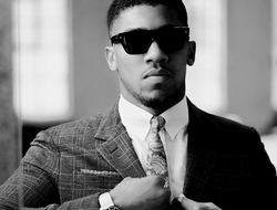 фото - Умный человек не может быть глупым бойцом — Джошуа о Джонсоне