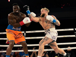 фото - Джейк Пол: «UFC рухнет!»