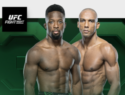 фото - Объявлены два мейнивента UFC в октябре