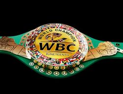 фото - Сулейман сделал это снова. А-Чарло и Монтиэль подерутся за WBC Freedom Belt