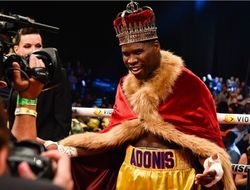 фото - Полутяжи Стивенсон и Альварес не встретятся в декабре — виноват средневес Лемьё