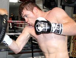 фото - Сауль Альварес готов драться с Флойдом Мэйуэзером 5 мая