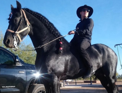 фото - Хирн похвастался памятным фото, Вальдес на чёрном звере, Хэйни ответил Ромеро — соцсети 