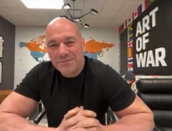 фото - Стало известно, почему затянулся камбэк Макгрегора