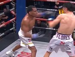 фото - Ярчайший турнир от ProBox: Флорес побил Кастильо, Паласиос прошёл Сегаву — видео