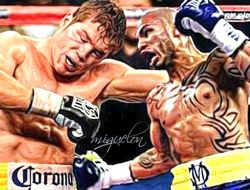 фото - Котто и Альварес – первые комментарии к их осеннему мегафайту