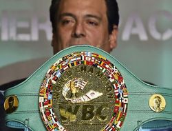 фото - Командам Уайлдера и Поветкина предписано договориться до конца февраля