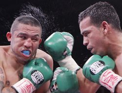 фото - Давид Санчес избил экс-чемпиона Росаса до отмашки рефери