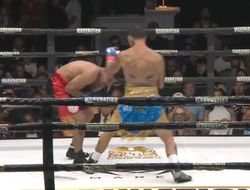 фото - Смотрите, кто вернулся! Росадо нокаутировал Андино: видео