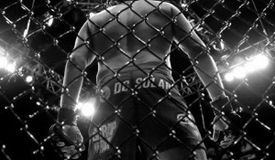 Правила ММА могут быть изменены после UFC 331