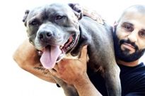 Видео боя: Костас Филиппу – Лоренц Ларкин, HD 720