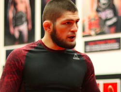 фото - Хабиб Нурмагомедов отказался от открытой тренировки перед UFC 242. Что случилось?