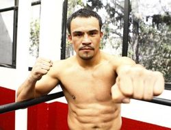 фото - Эредиа: Хуан Мануэль Маркес хочет провести ещё два боя