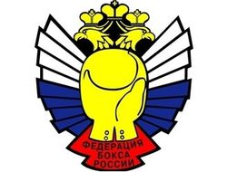 фото - Итоги чемпионата России по боксу 2015