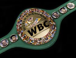 фото - Франчайзинговый титул WBC в лёгком весе. Мнения Лопеса, Хэйни и Сулеймана