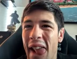 фото - Три лучших «мухи» в истории UFC. Мнение экс-чемпиона