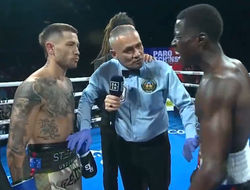 фото - Знакомьтесь, у нас новый чемпион мира! Хитчинс побил Паро: видео