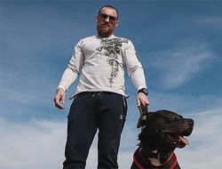 фото - Дмитрий Кудряшов — об Усике с Гассиевым в супертяжах и бое Уайт–Поветкин