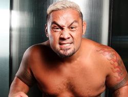 фото - Марк Хант: Наверное, в UFC вы меня больше не увидите