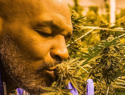 фото - Анатолий Ломаченко — лучший тренер WBO, Канело в балийском платье, Тайсон с любимым растением — соцсети 