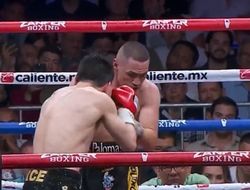 фото - Три нокдауна! Эстрада дебютировал в новом весе: видео