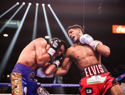 фото - Андеркард Канело-Плэнт: досрочные победы Родригеса и Бартелеми — видео