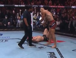 фото - Перейра не заметил Анкалаева в реванше. Реакция ММА общественности