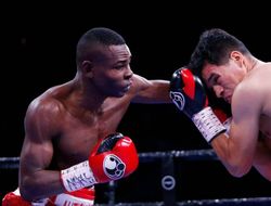 фото - Статистика ударов и судейские карты боя Гильермо Ригондо − Хулио Сеха