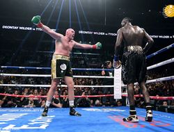 фото - Тайсон Фьюри: Отправлю Уайлдера на канвас джебом