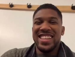 фото - Джошуа проведёт два «быстрых» боя