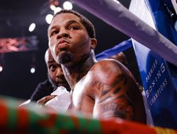 фото - Бой Джервонта Дэвис – Исаак Крус. Фото судейской карты