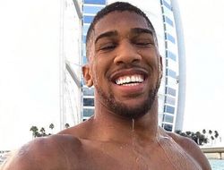 фото - Джошуа: Вырублю Уайлдера одним ударом