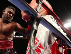 фото - Чарр потеряет титул, чемпиона определят боец из США и ветеран из Пуэрто-Рико — СМИ