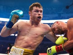 фото - Канело Альварес обучает чемпиона UFC как атаковать корпус — видео