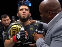 фото - UFC 294: что ждёт звёзд дальше