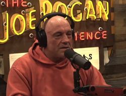 фото - Роган за то, чтобы бойцы UFC зарабатывали намного больше денег