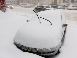 фото - Кадр дня: Ломаченко откапывает из-под снега двор