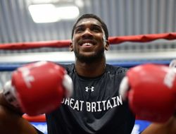 фото - Промоутер — о следующем поединке Джошуа: Или Уайлдер, или Поветкин