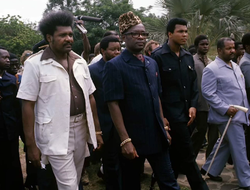 фото - Против Дона Кинга подан иск на сумму 3 млрд USD