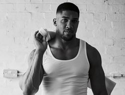 фото - Джошуа завершил карьеру? Реакция Хирна