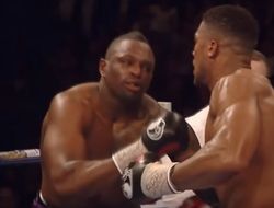 фото - Команда Джошуа предложила бой Уайту