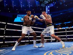 фото - Усик не дрался с настоящим Джошуа — британский эксперт