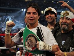 фото - Альфонсо Гомес вернулся в бокс, победив Паредеса