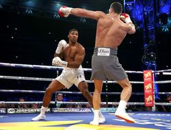 фото - Джошуа не будет прежним. То же самое было с Кличко — промоутер