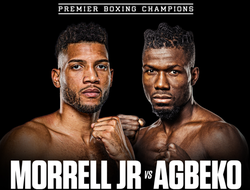 фото - Прямая трансляция: Давид Моррель − Сена Агбеко. Смотреть онлайн